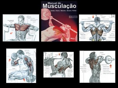 GUIA DE MUSCULAÇÃO PARA BAIXAR